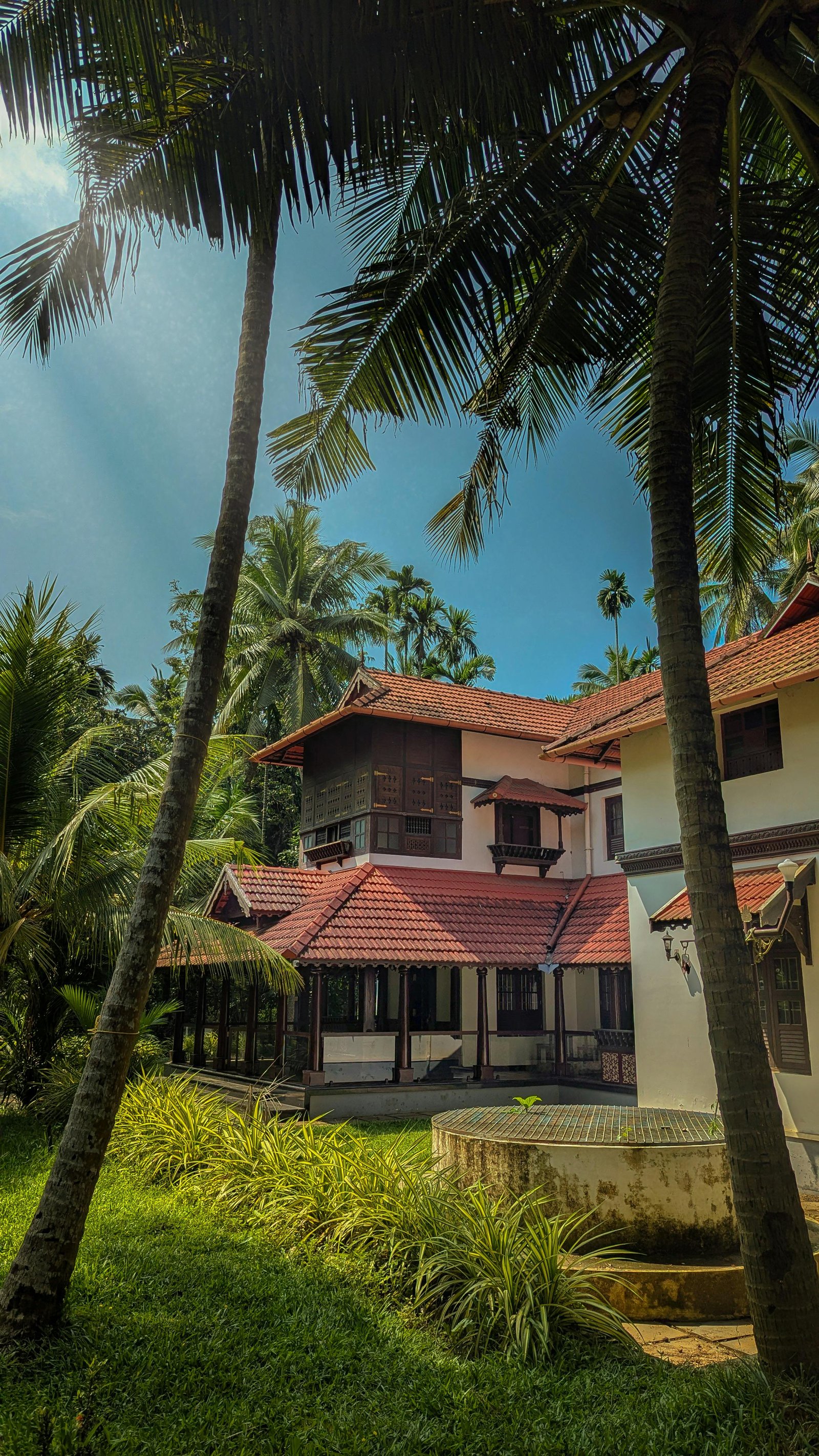 Luxury rainforest treehouse stay